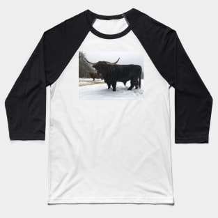 Scottish Highland Cattle Bull 2211 Baseball T-Shirt